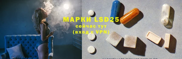 PSILOCYBIN Туринск