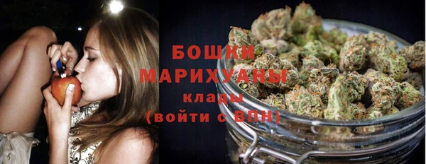 первитин Няндома