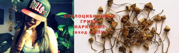 дмт Шадринск
