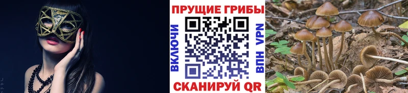 Галлюциногенные грибы MAGIC MUSHROOMS  MEGA рабочий сайт  Александровск 
