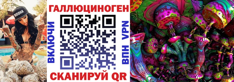 Псилоцибиновые грибы Psilocybe Александровск