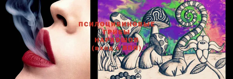 Псилоцибиновые грибы Magic Shrooms  Александровск 